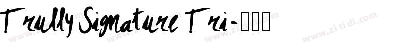 Trully Signature Tri字体转换